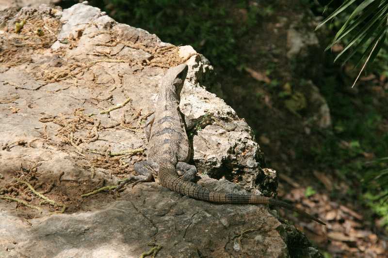 Mexico & Guatemala 2010 - 0037